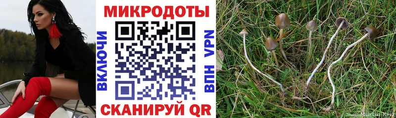 Галлюциногенные грибы Magic Shrooms  ОМГ ОМГ ТОР  Малгобек  shop какой сайт  где найти  
