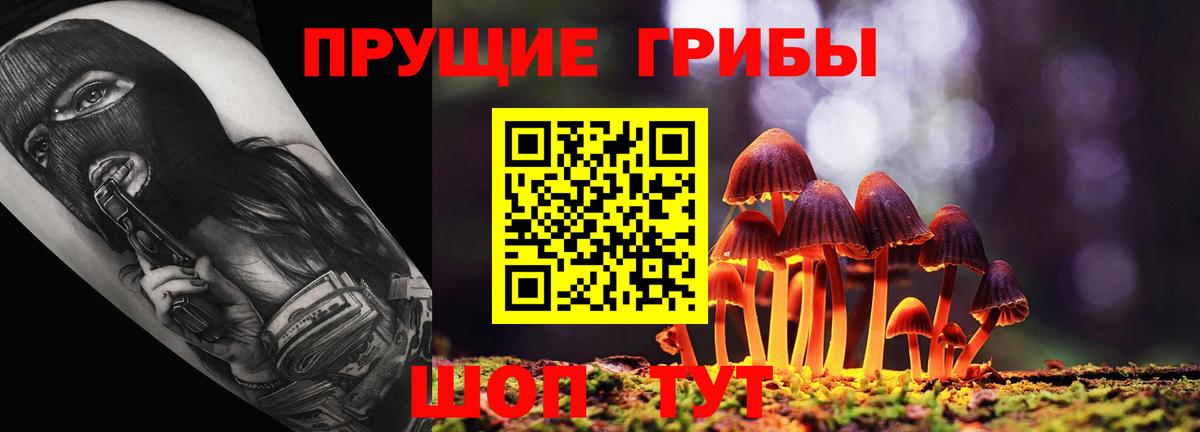 Малгобек  Галлюциногенные грибы Cubensis  Вход с VPN 