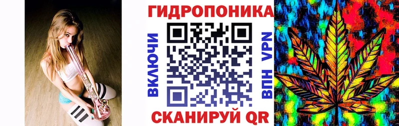 Бошки Шишки MAZAR  Малгобек 