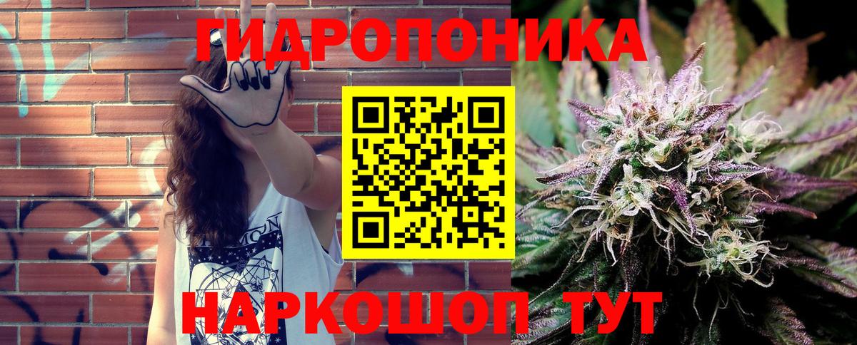 Конопля White Widow Малгобек